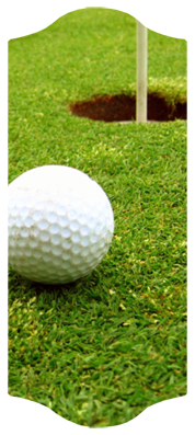 DARAY C 342 Gone Golfing (Balls)